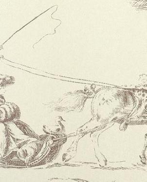 Обои Casadeco Amboise cbr15385101