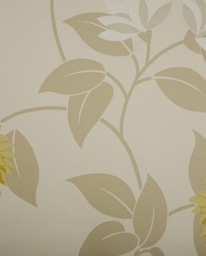 Обои Sanderson Pom Pom Papers Pom Pom Papers DPOMPO101 изображение 0