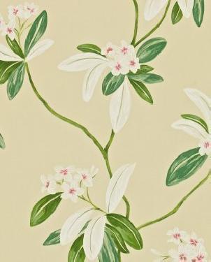 Обои Sanderson Richmond Hill Richmond Hill DRCH212130 изображение 0