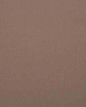 Обои Clarke & Clarke Showstoppers W0006-14