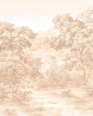 Обои Loymina Illusion Illusion DC-020 изображение 0