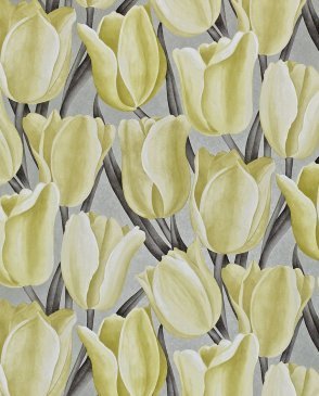 Обои Sanderson Vintage Vintage DVIWEA106 изображение 0