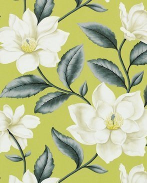 Обои Sanderson Painter's Garden Painter's Garden DAPGGR101 изображение 0