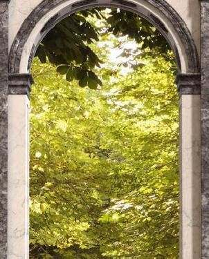 Обои Loymina Illusion Illusion DF-008 изображение 0