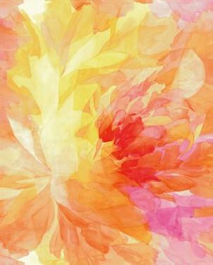 Обои Loymina Illusion Illusion DM-006 изображение 0