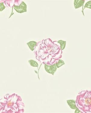 Обои Sanderson Maycott Wallpaper Maycott Wallpaper DMAY211987 изображение 0