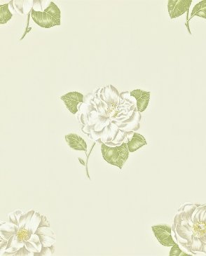 Обои Sanderson Maycott Wallpaper Maycott Wallpaper DMAY211988 изображение 0