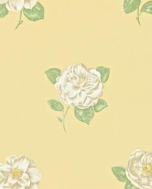 Обои Sanderson Maycott Wallpaper Maycott Wallpaper DMAY211990 изображение 0