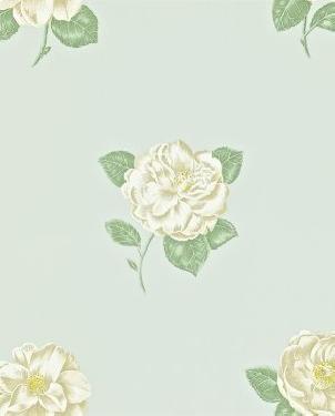 Обои Sanderson Maycott Wallpaper Maycott Wallpaper DMAY211991 изображение 0