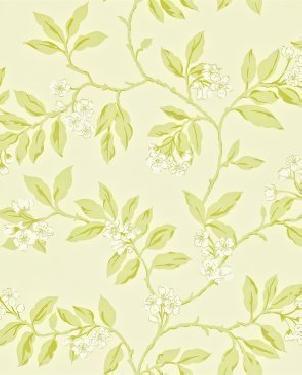 Обои Sanderson Maycott Wallpaper Maycott Wallpaper DMAY211992 изображение 0