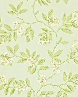 Обои Sanderson Maycott Wallpaper Maycott Wallpaper DMAY211993 изображение 0