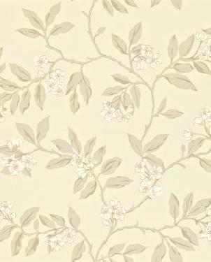 Обои Sanderson Maycott Wallpaper Maycott Wallpaper DMAY211994 изображение 0