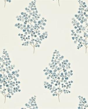 Обои Sanderson Maycott Wallpaper Maycott Wallpaper DMAY211996 изображение 0