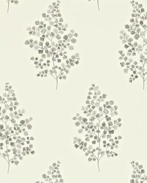 Обои Sanderson Maycott Wallpaper Maycott Wallpaper DMAY211997 изображение 0