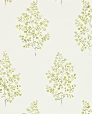 Обои Sanderson Maycott Wallpaper Maycott Wallpaper DMAY211998 изображение 0