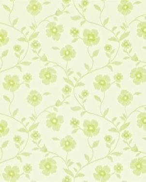 Обои Sanderson Maycott Wallpaper Maycott Wallpaper DMAY212004 изображение 0