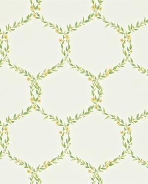 Обои Sanderson Maycott Wallpaper Maycott Wallpaper DMAY212008 изображение 0