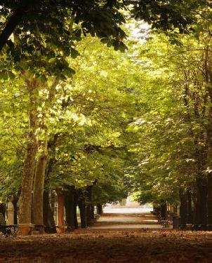 Обои флизелиновые зеленые светлые Illusion DS-012 изображение 0