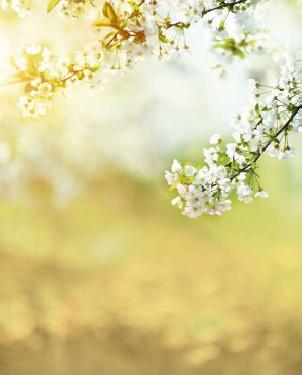 Обои для гостиной зеленые светлые Illusion DS-015 изображение 0