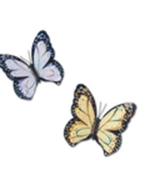 Обои YORK с бабочками, насекомыми Brothers & Sisters IV BT2988 изображение 0