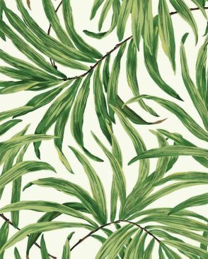 Обои Ashford House Ashford Tropics AT7050