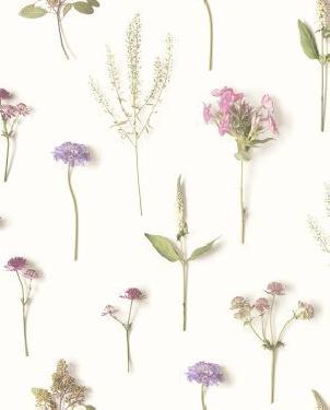 Обои Grandeco Natural Forest NF3303