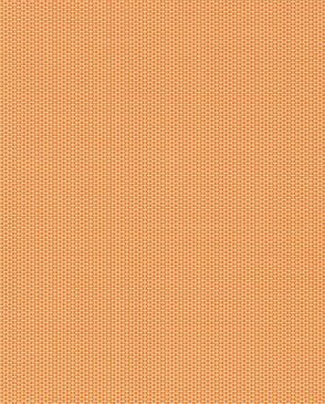 Обои Harlequin Momentum Volume 2 Momentum Volume 2 110338 изображение 0