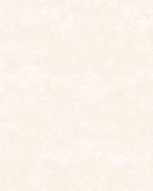 Обои ESTRO Patina W161302