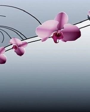 Обои Atlas Wallcoverings Raphael 2 1197