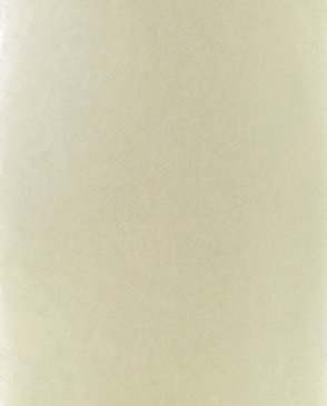 Обои Designers Guild Tsuga p502-08