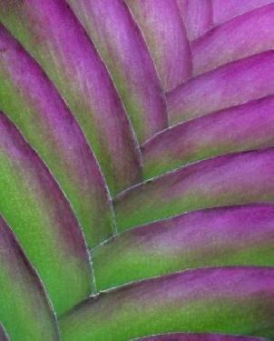 Обои Decoprint NV Mood MD902010