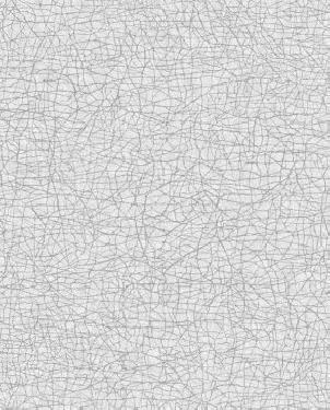 Обои Decoprint NV Era ER19011