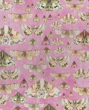 Английские Обои с бабочками, насекомыми Jardin Des Plantes PDG713-03 изображение 0