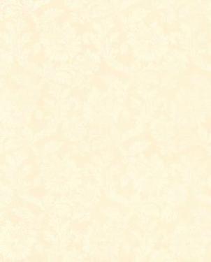 Обои Blaze of Glory 989-64822 изображение 0