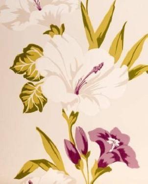 Обои Clarke & Clarke Showstoppers Showstoppers W0024-04 изображение 0