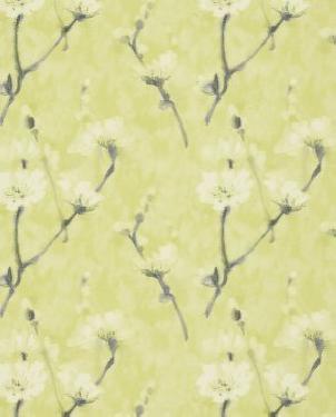 Обои Sanderson Aegean Wallpapers Aegean Wallpapers DAEG213025 изображение 0