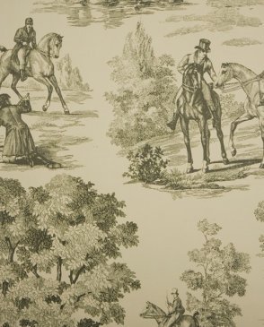 Обои Sanderson Toile Collection DEGTFH102