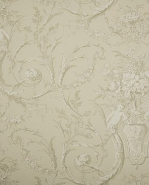 Обои Sanderson Toile Collection Toile Collection DEGTСH101 изображение 0