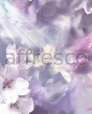 Фрески Affresco Modern Series ms545