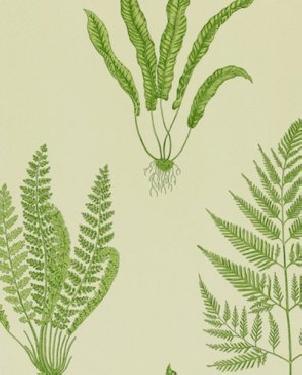 Обои Sanderson Painter's Garden Painter's Garden DAPGWO102 изображение 0