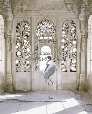 Обои Applico Trends 980215