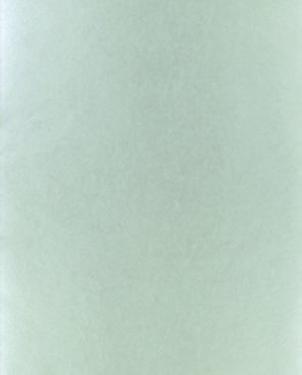 Обои Designers Guild Tsuga p502-18