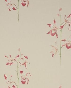 Обои Sanderson Classic Collection 2 Classic Collection 2 DCLAPO-102 изображение 0