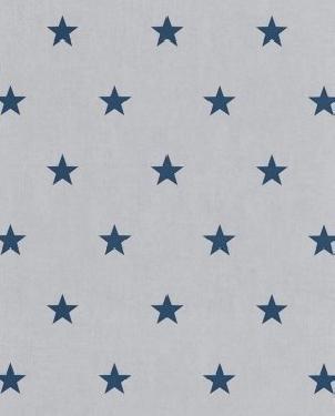 Обои Rasch Kids&Teens 247602