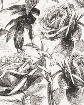 Обои Clarke & Clarke Floribunda W0037-07