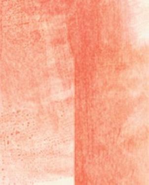 Обои Khroma Aqua DGAQU4032