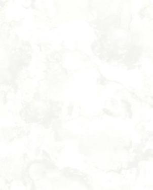 Обои Decoprint NV Yala YA19581