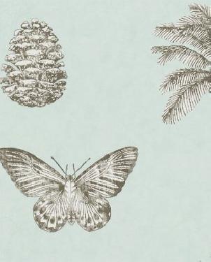 Обои Sanderson Voyage of Discovery Wallpapers Voyage of Discovery Wallpapers DVOY213383 изображение 0