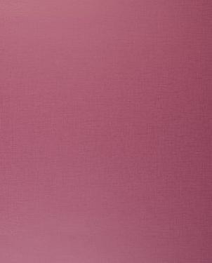 Обои Clarke & Clarke Showstoppers W0006-20