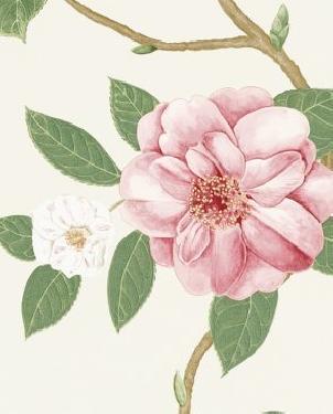 Обои Sanderson Voyage of Discovery Wallpapers Voyage of Discovery Wallpapers DVOY213374 изображение 0